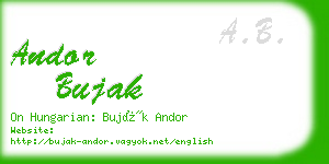 andor bujak business card